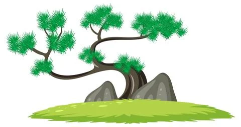 Curved Bonsai Pine Tree with Rocks on Grass Stock Illustration