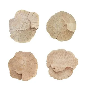 Curved cut tree trunks 스톡 사진