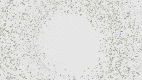 Curved Daisy Trail Petals on Loop Stock Footage 311146266