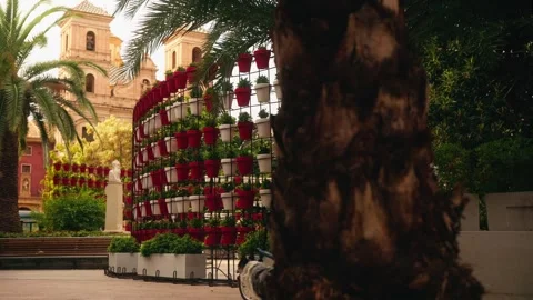 Curved display of red and white flower pots in sunny plaza 스톡 동영상 331239082