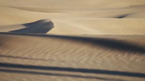 Curved Dune Edge with Sand Ripples, Maspalomas, Gran Canaria Stock Footage 344480707