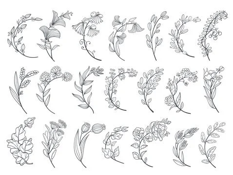 Curved floral branches. Decorative elements fore poster, banner and card Stock Illustration