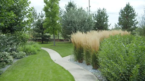 Curved garden path among trees and ornamental grasses Stock Footage 318775440