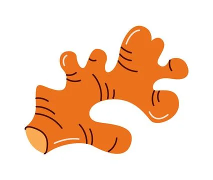 Curved ginger root in flat style Stock Illustration