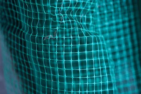 Curved green grid background. distorted texture grid. Stock Photos
