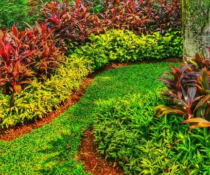 Curved green lawn path is bordered by vibrant red, yellow, and green plants c Foto stock