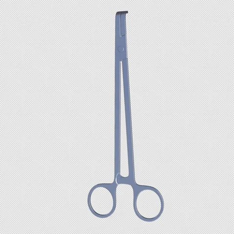 Curved Kelly Forceps 스톡 동영상 316571185