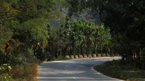 Curved Mountain Road Surrounded by Dense Tropical Forest Stock Footage 328825017