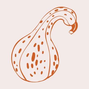 Curved Neck Gourd with Speckled Orange Skin. Hand Drawn Doodle Style Vegeta.. Illustrazione stock