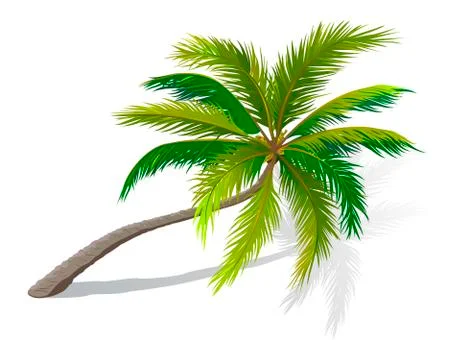 Curved palm tree Stock Illustration