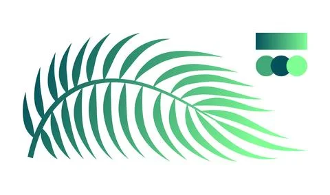 Curved palm tree leaf graphic shape. Vector illustration isolated on white. Stock Illustration
