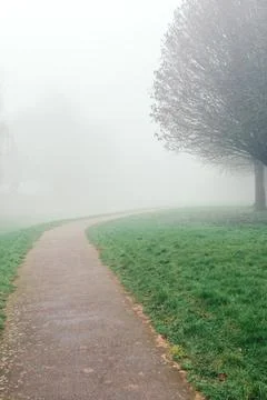 Curved park path surrounded by green grass and trees in dense fog. Stock Photos