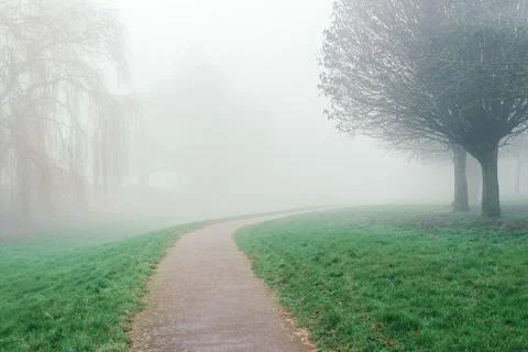 Curved park path surrounded by green grass and trees in dense fog. Stock Photos