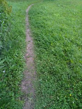 Curved path in green grass Stock Photos