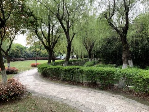 Curved path Фото