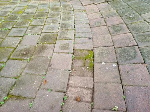 Curved pattern of weathered brick pavement with moss and small weeds betwee.. Stock Photos