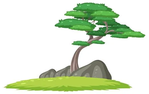 Curved Pine Tree Growing Beside Large Gray Rocks Stock Illustration