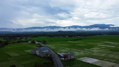Curved Road Among Rice Fields with Foggy Mountains – Blang Malu Stock Footage 311786363