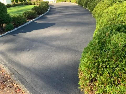 Curved road and green trees Stock Photos