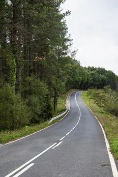Curved road between forest trees and countryside mountains Stock Photos