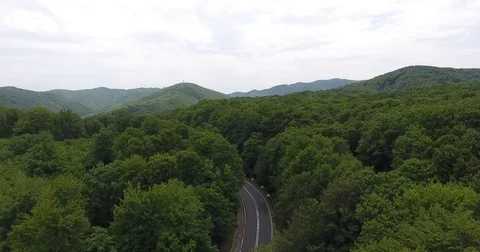 Curved Road in the forest  Video stock 78000354