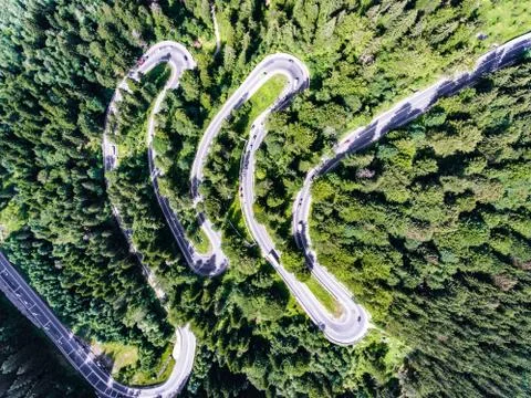 Curved road in the forest Stock Photos