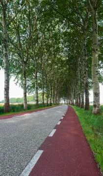 Curved road Stock Photos