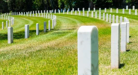 Curved rows of grave markers Stock Photos