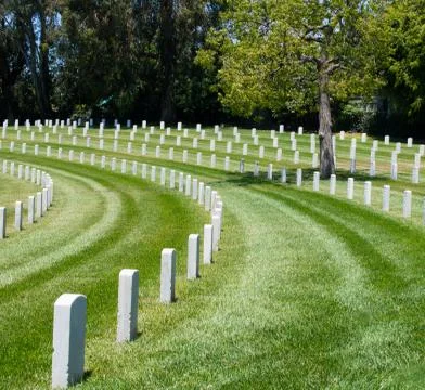 Curved rows of grave markers under a tree Stock Photos