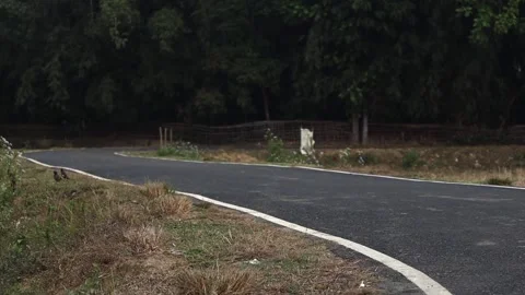 Curved rural road surrounded by trees in countryside Video stock 326031972