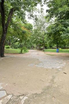 Curved stone pathway through lush green park with trees and peaceful landscap Stockfoto's
