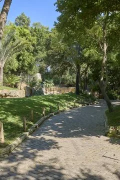 Curved stone pathway through lush tropical park with green trees Stock Photos