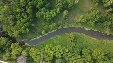Curved summer river Stock Footage 314084696
