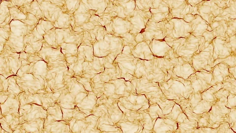 Curved three-dimensional forms of beige slowly move against a black background.  Stock Footage 95311879