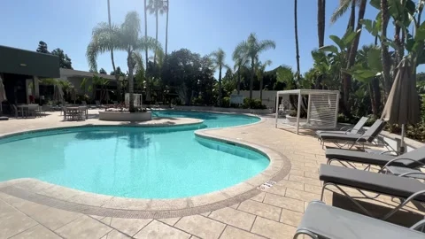 Curved turquoise resort pool with empty sun loungers and palm trees Stock Footage 345369802