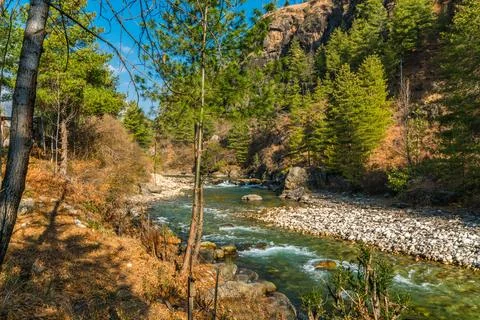 Curverd river path Stock Photos