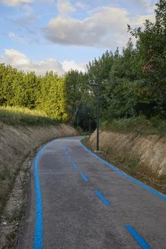 Curving bicycle path through green forest at sunset Stock-Fotos