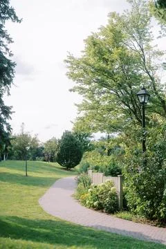 Curving brick pathway through lush green park with tall trees, sunlight, garden Stock Photos