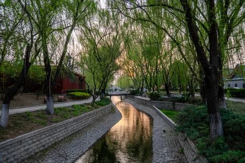 Curving canal beneath dense spring greenery in Beijing Stock Photos