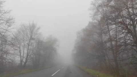 Curving empty asphalt road passing through foggy road forest. Stock Footage 168293551