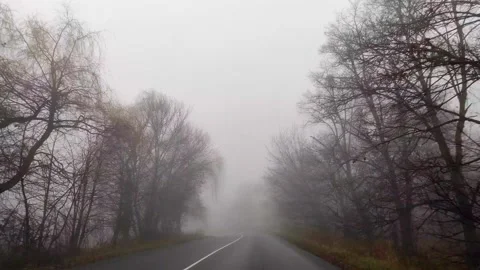 Curving empty asphalt road passing through foggy pine forest. Fog above route. Stock Footage 168293863