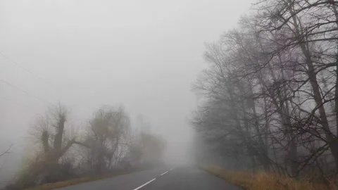 Curving empty asphalt road passing through foggy pine forest. Fog above route. Stock Footage 168294243