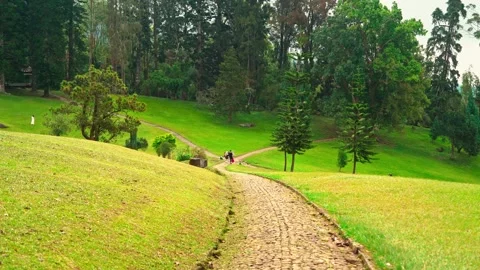 Curving garden path through green hillside Stock Footage 333499249
