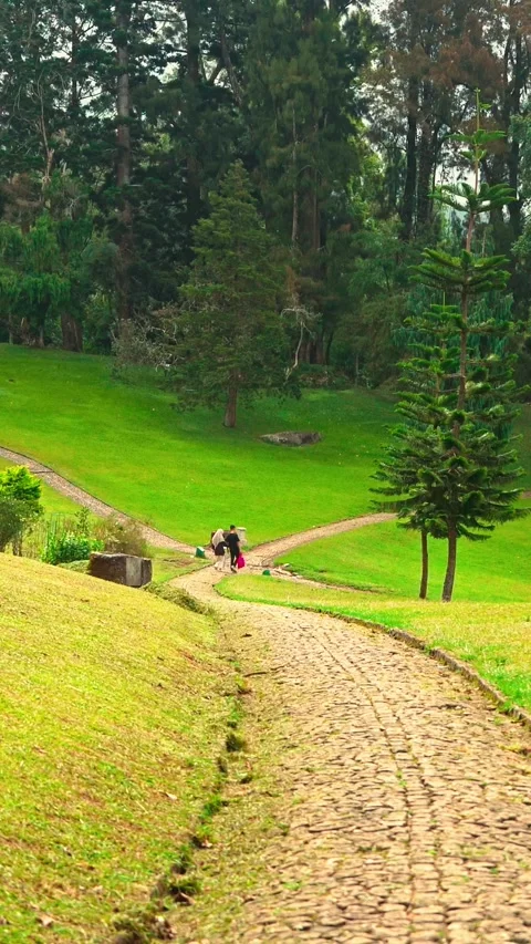 Curving garden path through green hillside Stock-Footage 333499774