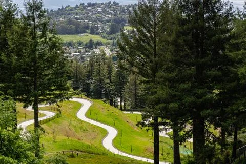Curving Hill Path Through Lush Forest Landscape Foto stock