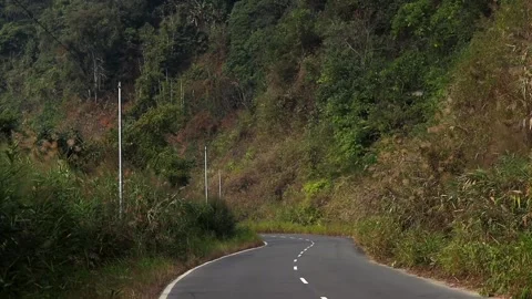 Curving Mountain Highway Through Dense Green Forest Stock Footage 329841636