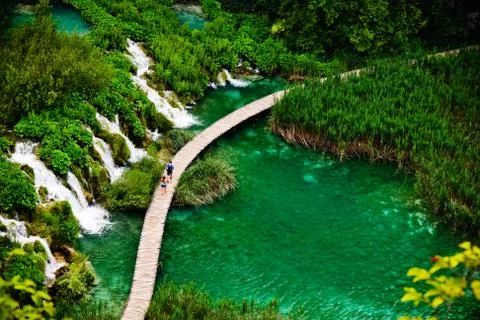 Curving path between riverfalls in green forest Foto stock