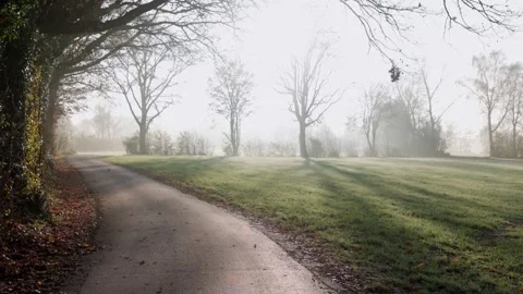 Curving paved path through frosty grass and leafless trees, golden sunlight. 動画素材 323236378