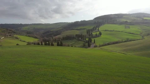 Curving road between fields and trees Stock Footage 129054294
