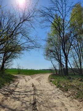 Curving Road Surrounded by Spring Trees Stock Photos